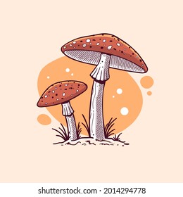 Amanita muscaria mushroom vintage style drawing vector illustration