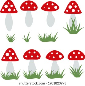  Amanita muscaria on white background. Vector image. 