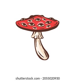 Amanita muscaria poison toxic mushroom illustration