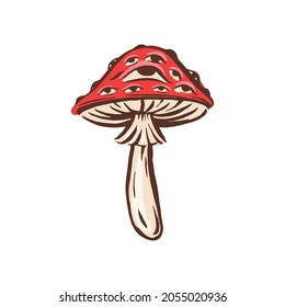 Amanita muscaria poison toxic mushroom illustration