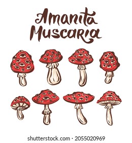 Amanita muscaria poison toxic mushroom illustration