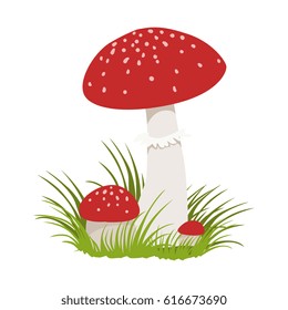 Amanita muscaria, poisonous mushrooms. Colorful cartoon illustration