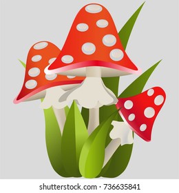 Amanita muscaria, poisonous mushrooms. Colorful cartoon illustration