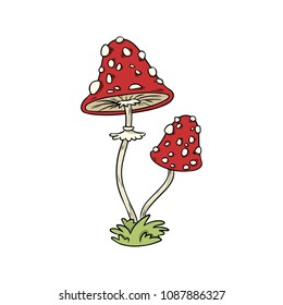 Amanita mushroom colorful sticker doodle. Media highlights graphic vector symbol isolated on white background
