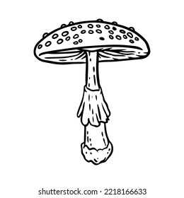 Amanita mushroom colorful sticker doodle. Media highlights graphic vector symbol isolated on white background