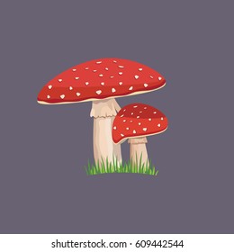Amanita mushroom with green grass. Vector illustration