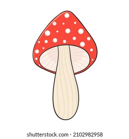 amanita mushroom hand drawn for design 