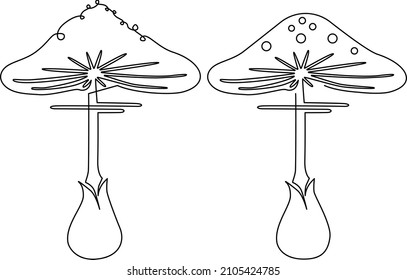 Amanita mushroom isolated on white background. Continuous line drawing. Vector illustration