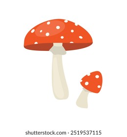 Amanita mushroom isolated on white background. Fly agaric fungus white spotted red mushroom. Poisonous, toxic mushroom. Deadly fungus. Vector illustration