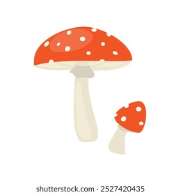 Amanita mushroom isolated on white background. Fly agaric fungus white spotted red mushroom. Poisonous, toxic mushroom. Deadly fungus. Vector illustration