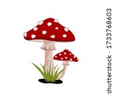 Amanita Mushroom Magic Muscaria Fly Agaric