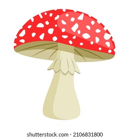 Amanita mushroom. Poisonous toadstool fly agaric. Inedible poisonous mushroom. Autumn and summer forest dweller. Vector illustration