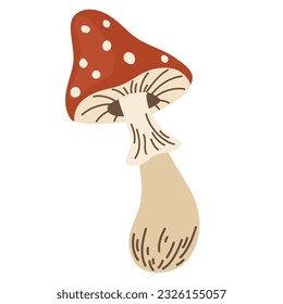 Amanita mushroom. Poisonous toadstool fly agaric. Wild forest mushrooms in autumn, isolated vector illustration.
