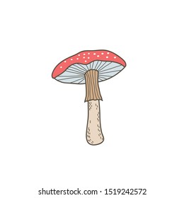 Amanita mushroom. Vector color hand drawn illustration in doodle style
