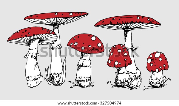 Amanita Mushroom Vector Illustration Hand Drawn のベクター画像素材 ロイヤリティフリー