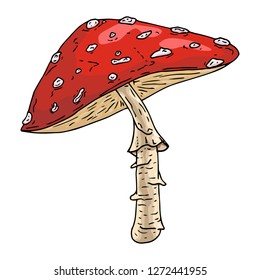 Amanita mushroom. Vector illustration of a mushroom. Inedible mushroom in the forest. Amanita.