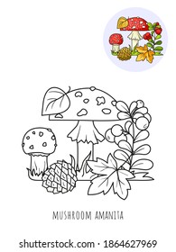Amanita mushrooms and Lingonberry, a picture for coloring with a color sample. Vector isolated on a white background.