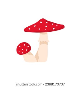 Amanita mushrooms. Poisonous fungus. Vector cartoon illustration with texture isolated on the white background.