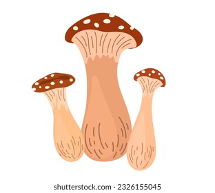 Amanita mushrooms set. Collection of Poisonous toadstool fly agaric. Decoration for greeting cards, posters, patches, prints for clothes, emblems. Vector Hand draw Illustration