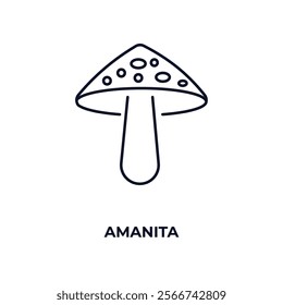 amanita outline icon. Linear vector from nature concept. Thin line amanita icon isolated on white background