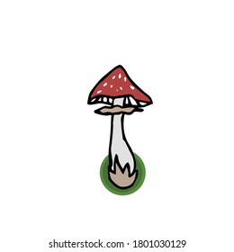 
Amanita painted by hand. poisonous mushroom. Vector icon in doodle style, isolate on a white background.