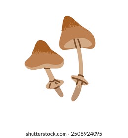 Amanita phalloides icon. Death cap. Dangerous inedible mushroom, poisonous agaric in hand drawn style. Venomous boletus, fungus. Forest plant. Flat isolated vector illustration on white background