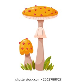 Amanita phalloides mushroom, death cap. Poisonous forest mushroom. Forest grass and leaves. Cartoon vector illustration on a white background.