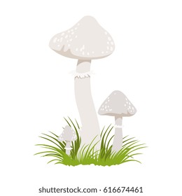 Amanita phalloides, poisonous mushrooms. Colorful cartoon illustration
