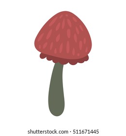 Amanita poisonous mushroom