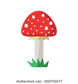 Amanita. Poisonous mushroom. Autumn season Vector flat illustration