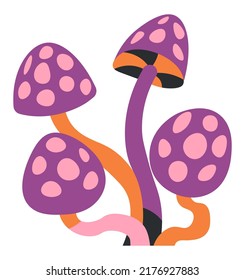 Amanita poisonous mushrooms cause intoxication and hallucinations. Isolated fungus inedible ingredient for magic potions and spells recipes. Seasonal plant from forests. Vector in flat style