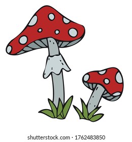 Amanita poisonous mushrooms, poison, witchcraft, vector decorative element for Halloween celebration in doodle style, color illustration