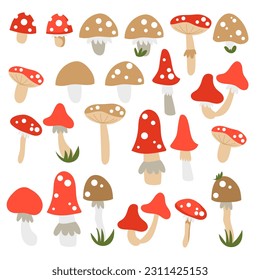 Amanita poisonous spotted dangerous mushroom set hand drawn in carton style for educational worksheets, game play collection for kids.