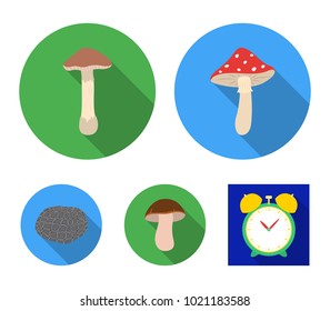 Amanita, porcini, black truffle,toadstool. set collection icons in flat style vector symbol stock illustration web.