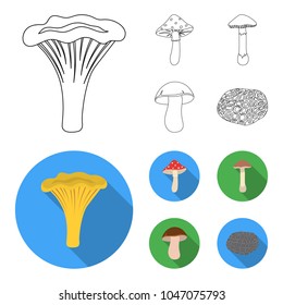 Amanita, porcini, black truffle,toadstool. set collection icons in outline,flat style vector symbol stock illustration web.