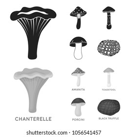 Amanita, porcini, black truffle,toadstool. set collection icons in black,monochrom style vector symbol stock illustration web.