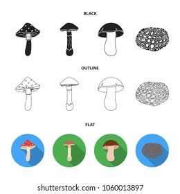 Amanita, porcini, black truffle,toadstool. set collection icons in black,flat,outline style vector symbol stock illustration web.