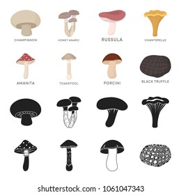 Amanita, porcini, black truffle,toadstool. set collection icons in black,cartoon style vector symbol stock illustration web.