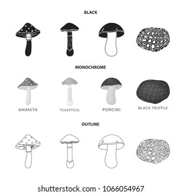 Amanita, porcini, black truffle,toadstool. set collection icons in black,monochrome,outline style vector symbol stock illustration web.