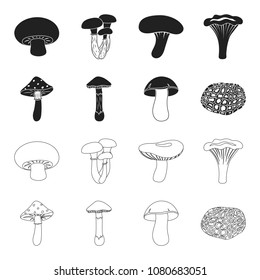 Amanita, porcini, black truffle,toadstool. set collection icons in black,outline style vector symbol stock illustration web.