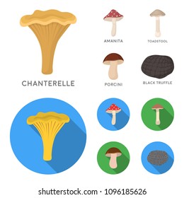 Amanita, porcini, black truffle,toadstool. set collection icons in cartoon,flat style vector symbol stock illustration web.