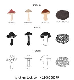 Amanita, porcini, black truffle,toadstool. set collection icons in cartoon,black,outline style vector symbol stock illustration web.