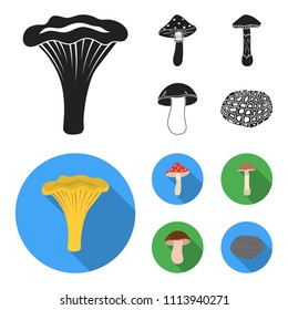Amanita, porcini, black truffle,toadstool. set collection icons in black, flat style vector symbol stock illustration web.