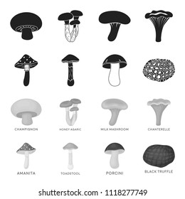 Amanita, porcini, black truffle,toadstool. set collection icons in black,monochrome style vector symbol stock illustration web.