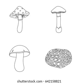 Amanita, porcini, black truffle,toadstool. set collection icons in outline style vector symbol stock illustration web.