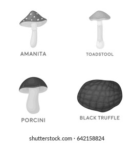 Amanita, porcini, black truffle,toadstool. set collection icons in monochrome style vector symbol stock illustration web.