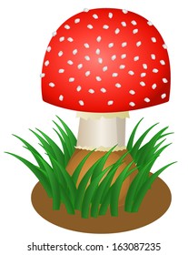 Amanita red mushroom vector