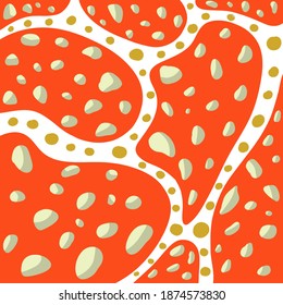 Amanita seamless pattern. Vector illustration set of red amanita, bright caps of mushrooms
