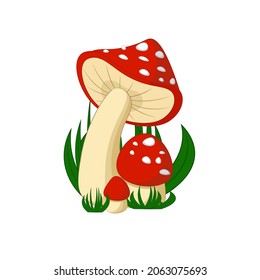 Amanita set on a white background with grass. Cartoon vector illustration for children