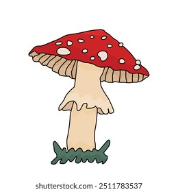 Amanita toadstool isolated mushroom. Vector doodle fly agaric illustration on a white background